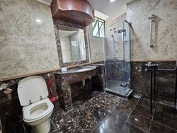 Signature Park (D21), Condominium #560307911